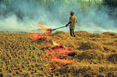 stubble burning case ਪਰਾਲੀ ਨੂੰ ਅੱਗ ਲੱਗਣ ਦੀਆਂ ਘਟਨਾਵਾਂ ਵਿੱਚ 50 ਫ਼ੀਸਦੀ ਦੀ ਗਿਰਾਵਟ