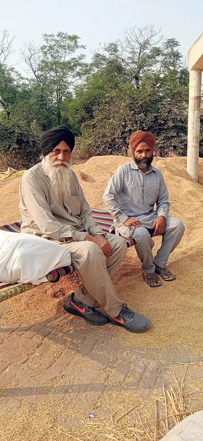 ਝੋਨੇ ਦੀ ਨਮੀ ਨੇ ਮੰਡੀਆਂ ਵਿੱਚ ਕਿਸਾਨ ਸੁੱਕਣੇ ਪਾਏ