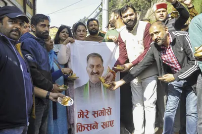 samosa politics in himachal  ਹਿਮਾਚਲ  ਚ ‘ਸਮੋਸਾ ਸਿਆਸਤ’ ਭਖ਼ੀ  ਭਾਜਪਾ ਵਿਧਾਇਕ ਨੇ ਸੁੱਖੂ ਲਈ ਆਨਲਾਈਨ ਸਮੋਸੇ ਆਰਡਰ ਕੀਤੇ