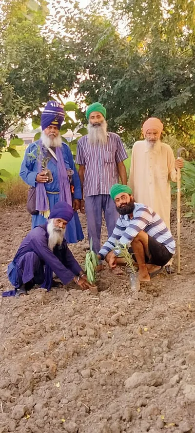 ਇਕੋਲਾਹਾ ’ਚ ਬੂਟੇ ਲਾ ਕੇ ਮਨਾਈ ਦੀਵਾਲੀ