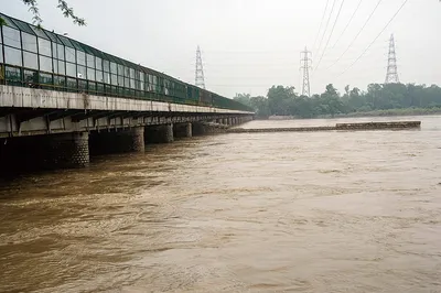 pollution in yamuna river  ਯਮੁਨਾ ਵਿਚ ਪ੍ਰਦੂਸ਼ਿਤ ਨਾਲੇ ਦਾ ਪਾਣੀ ਮਿਲਣ ਨਾਲ ਮੱਛੀਆਂ ਦੀ ਮੌਤ ਹੋਈ  ਡੀਪੀਸੀਸੀ